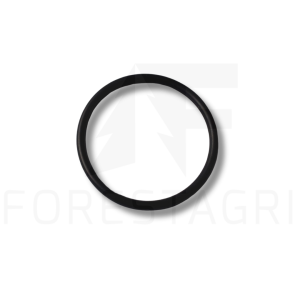 O-ring - F005484 (T34248)