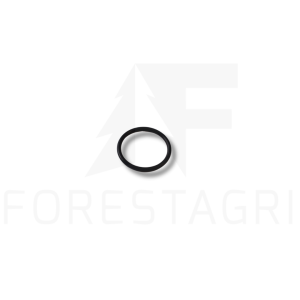O-ring - F030966 (H21957)