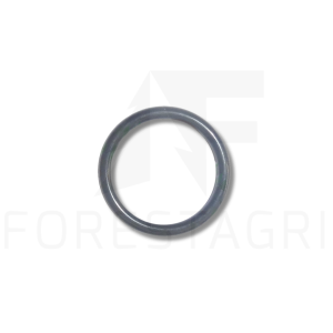 O-ring - R33259, F025508