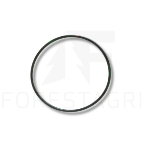 O-ring - F003228