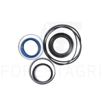 Seal kit - F005030
