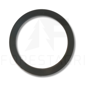 Gasket - F005507