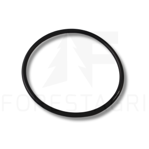 O-ring - F005526