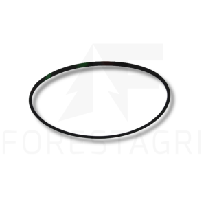 O-ring - F007978 (spare part)