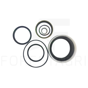Seal kit - F007983 (spare part)