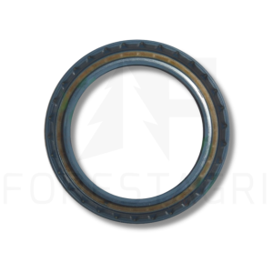 Oil seal - F010201