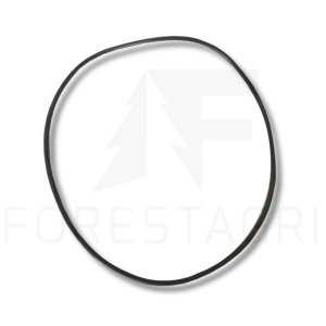 O-ring - F018849