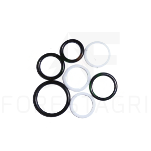 Seal kit - F028791