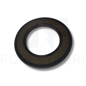 Simmering - F065067 (spare part)