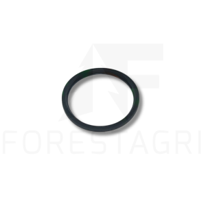 Thermostat gasket - R521548 (spare part)