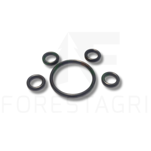 Seal kit - F671914, F064032 (spare part)