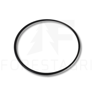 O-ring - F010631 (R41987)