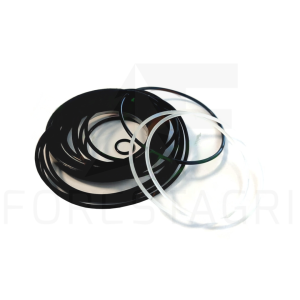 Seal kit - F066618