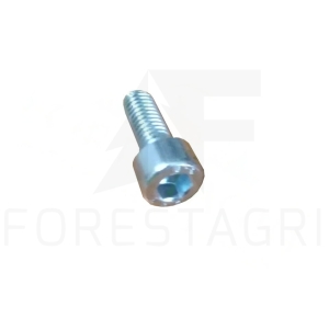 Screw - 19M9724