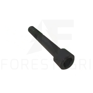 Screw - 19M9533, F033305