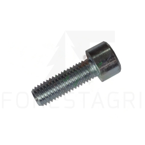 Screw - 19M9705