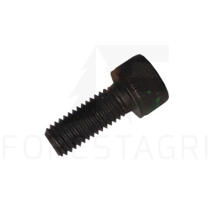 Screw - F007522
