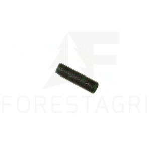 Screw - F013161