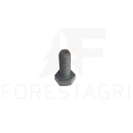 Screw - F021647