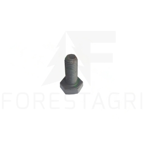 Screw - F021647