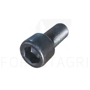 Screw - F063660