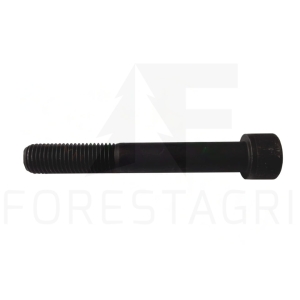 Screw - F070237 (spare part)