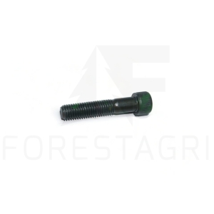 Screw - F070829 (spare part)