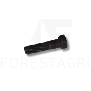 Screw - F073026 (19H3933)