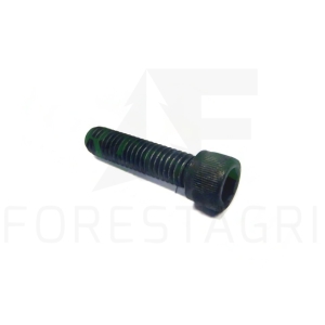 Screw - F073340