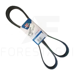 V-ribbed belt - F050578