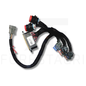 Wiring harness HHC 1 module - F670845