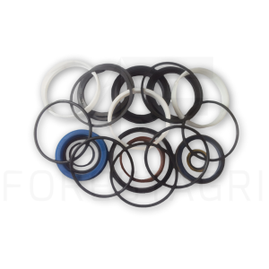 Set of seals - F019029 (spare part)