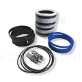 zestaw uszczelnień, sealing kit, Dichtungsset, těsnicí sada, sandarinimo rinkinys - F023781 Z