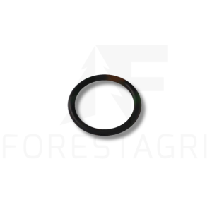 O-ring - F034190