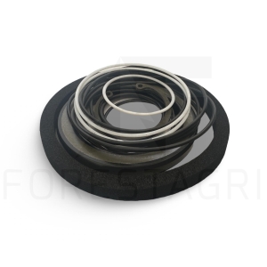 Seal kit - F063289 (spare part)