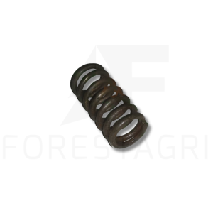 Spring - F023087 (used part)