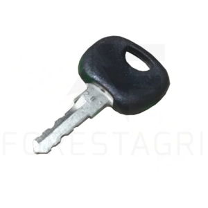 Key - F013303 (used part)