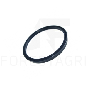 Wiper ring - F070144