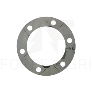 Gasket - F025177 (spare part)