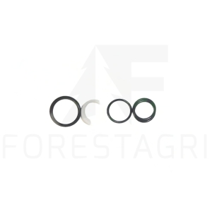 Seal kit - F039180 (spare part)