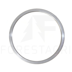 Ring - F036731 (spare part)