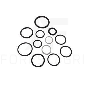 Seal kit - F028416