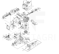 F037853_.jpg