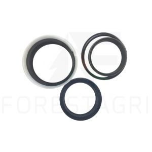 Seal kit - F060108