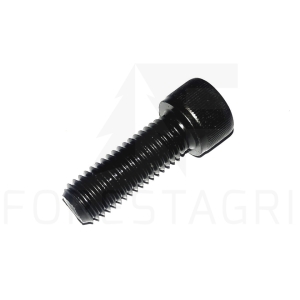 Screw - F023085 (spare part)